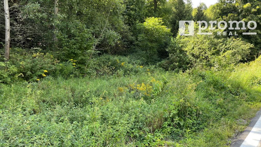 Gelnica pozemok 1000m2