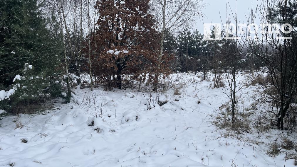 Vyšná Kamenica pozemok 1500m2