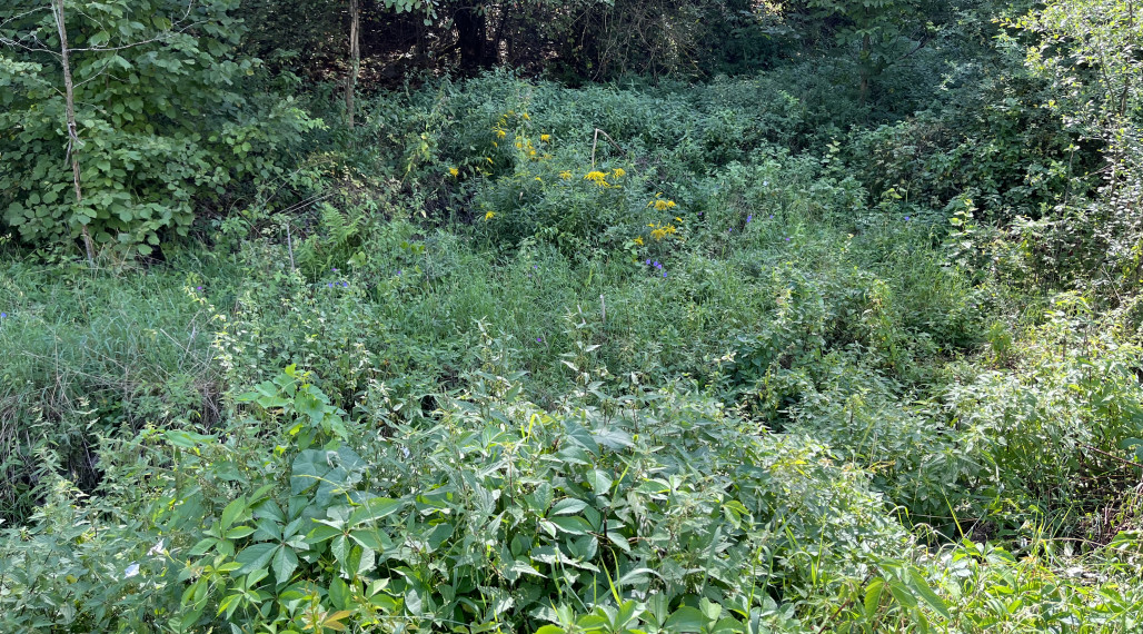 Gelnica pozemok 1000m2