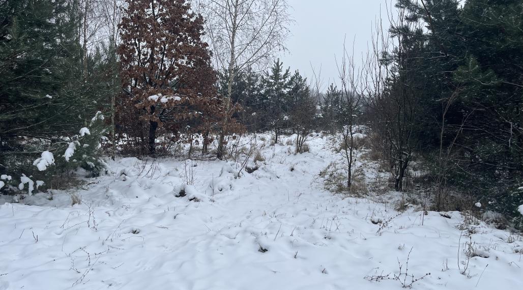 Vyšná Kamenica pozemok 1500m2