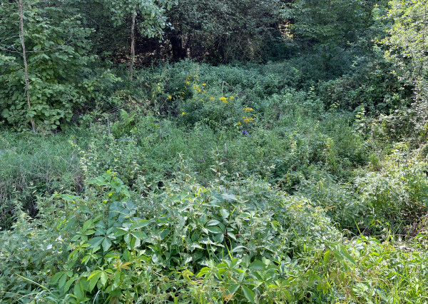 Gelnica pozemok 1000m2