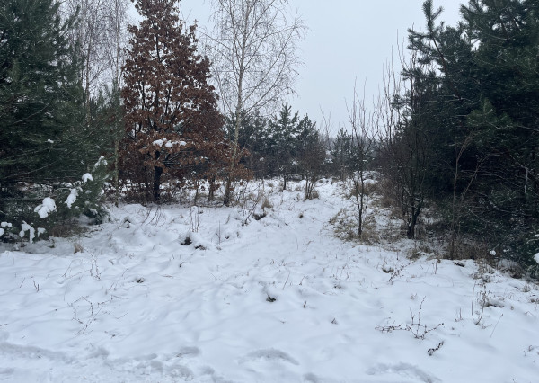 Vyšná Kamenica pozemok 1500m2